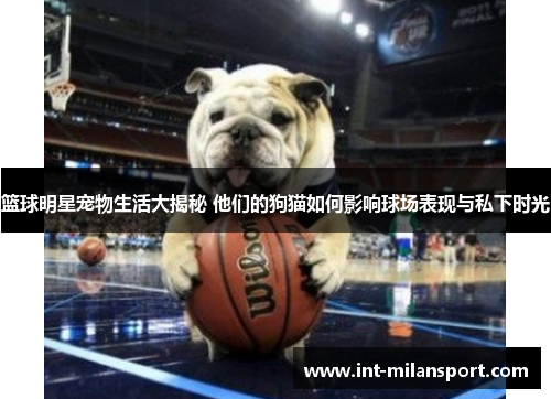 篮球明星宠物生活大揭秘 他们的狗猫如何影响球场表现与私下时光 篮球明星宠物生活大揭秘 他们的狗猫如何影响球场表现与私下时光