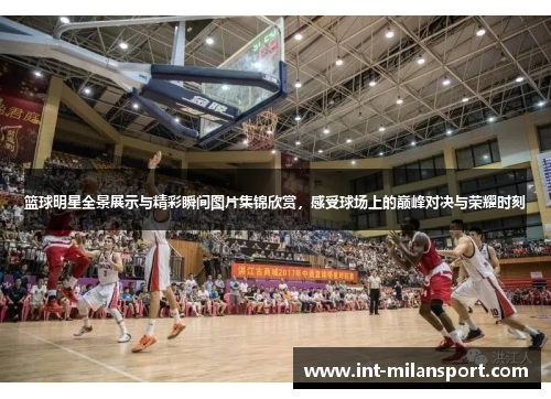 篮球明星全景展示与精彩瞬间图片集锦欣赏，感受球场上的巅峰对决与荣耀时刻