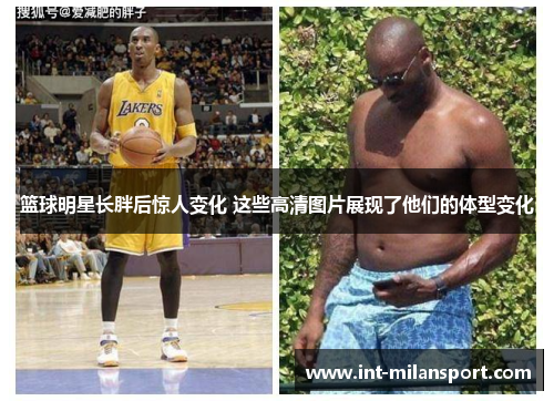 篮球明星长胖后惊人变化 这些高清图片展现了他们的体型变化 篮球明星长胖后惊人变化 这些高清图片展现了他们的体型变化