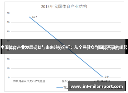 中国体育产业发展现状与未来趋势分析:从全民健身到国际赛事的崛起 中国体育产业发展现状与未来趋势分析:从全民健身到国际赛事的崛起